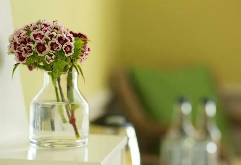 スタンダードルーム, The Manor At Sway – Hotel, Restaurant And Gardens