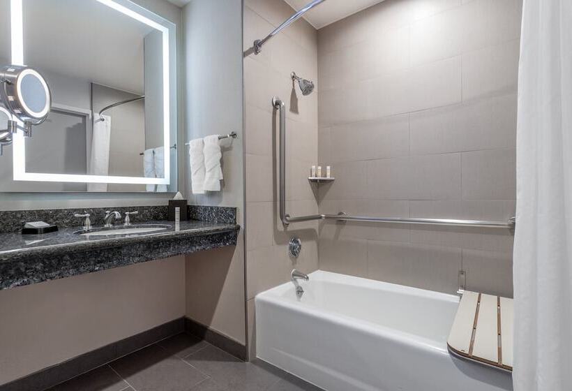 غرفة قياسية لذوى الاحتياجات الخاصة, Crowne Plaza Hotel Los Angeles Harbor, An Ihg