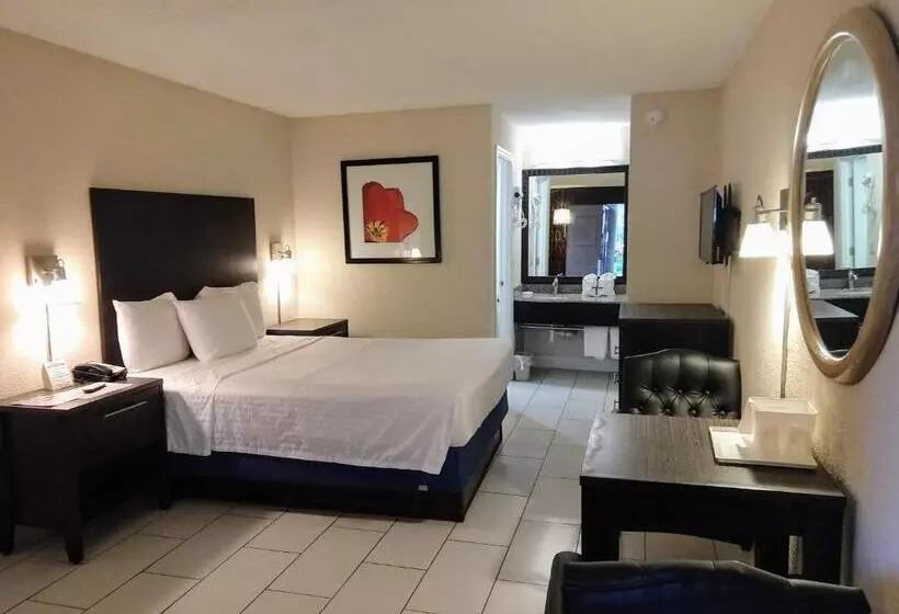 スタンダードルーム, Red Carpet Inn Airport Fort Lauderdale