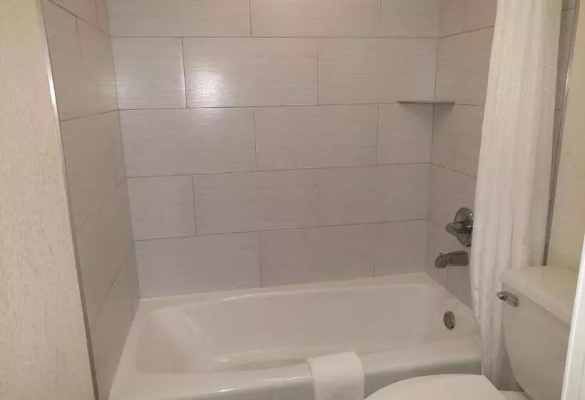 キングサイズベッドのスタンダードルーム, Red Carpet Inn Airport Fort Lauderdale