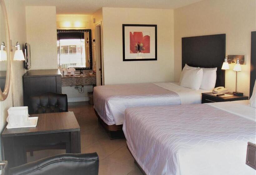 デラックスルーム, Red Carpet Inn Airport Fort Lauderdale