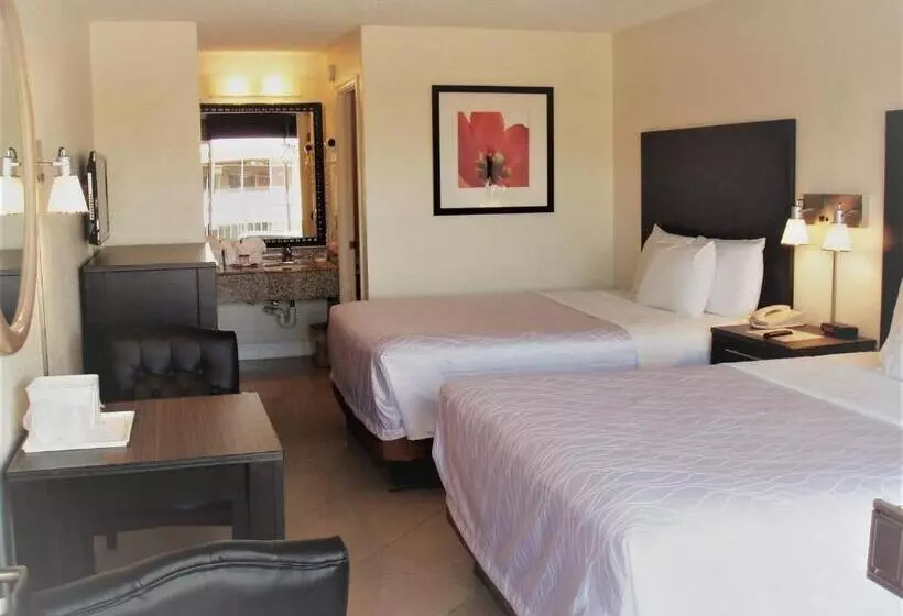 デラックスルーム, Red Carpet Inn Airport Fort Lauderdale