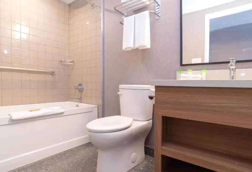 اتاق استاندارد با 2 تخت دوبل, Sandman Hotel Victoria