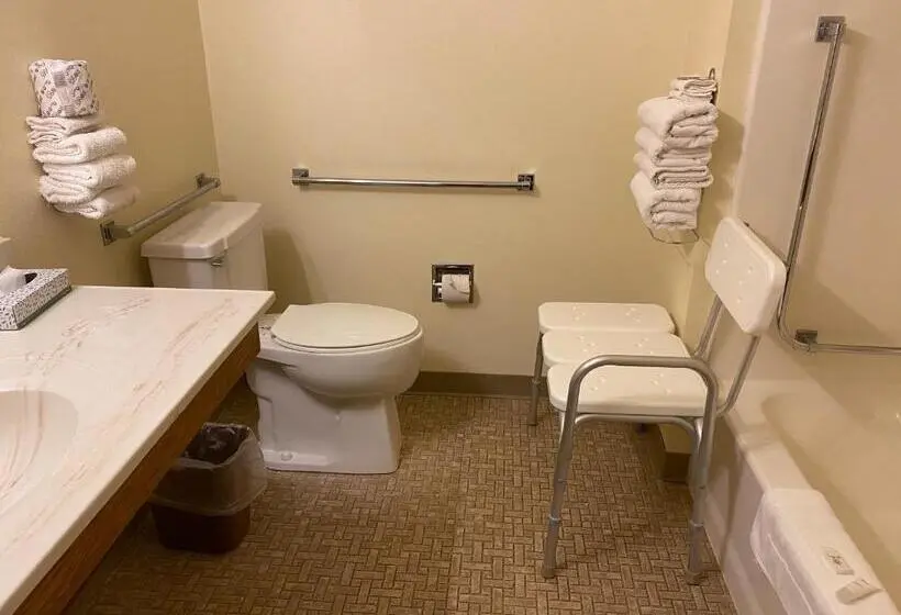 身障者適用スタンダードルーム, Amerivu Inn
