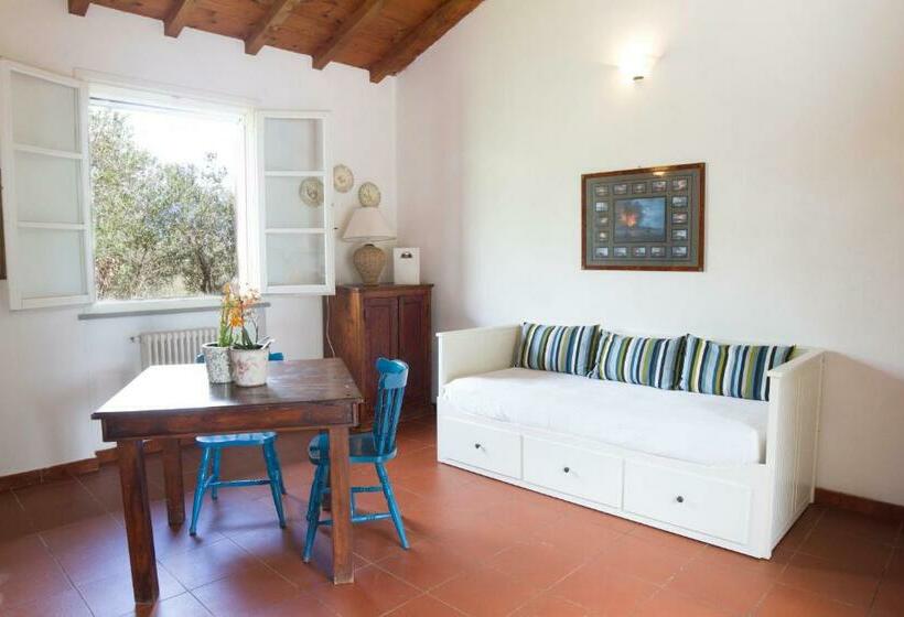 شقة غرفة واحدة, Fattoria Di Collemezzano