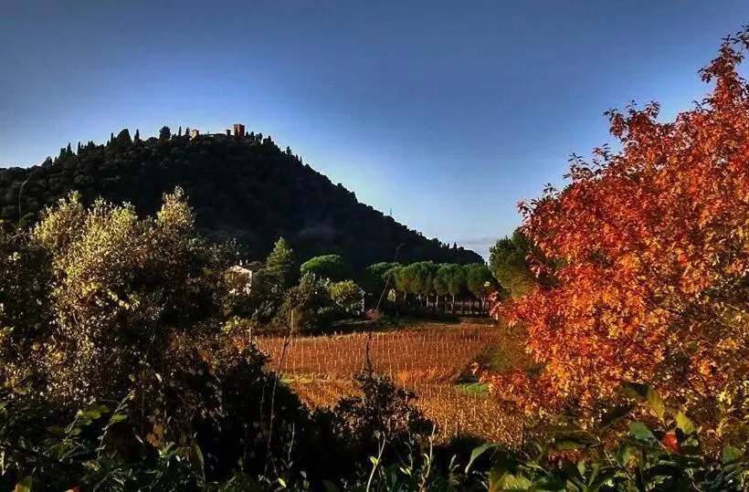 スーペリアールーム, Podere L Olmaia
