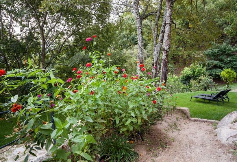 ビラホテル１ベッドルーム, Quinta Da Bouça   Agroturismo