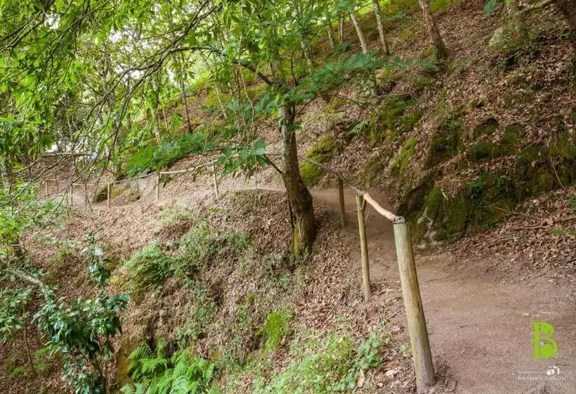 ツーベッドルーム　ヴィラ, Quinta Da Bouça   Agroturismo