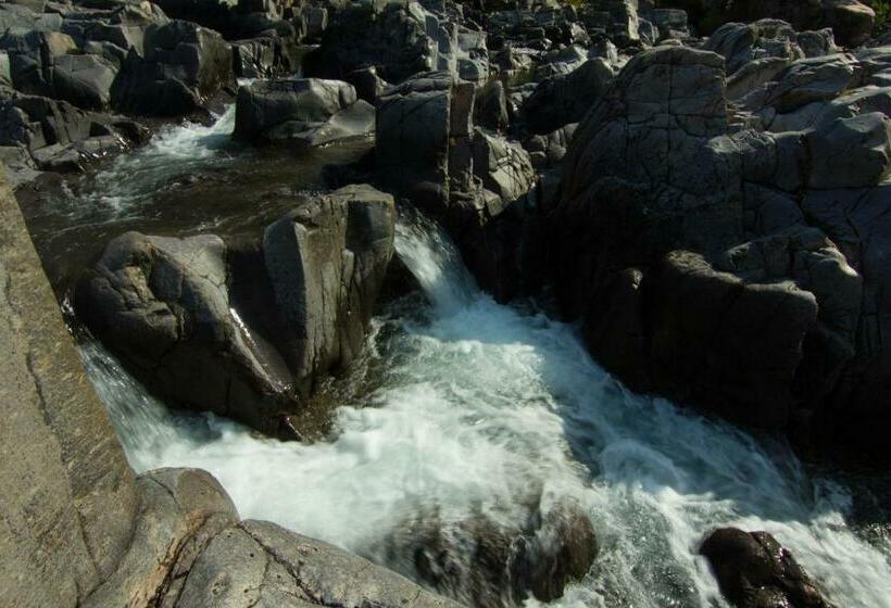 패밀리 스위트, Shepherd Mountain Inn & Suites