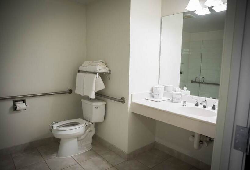 高级大房间, Bay Pointe Inn