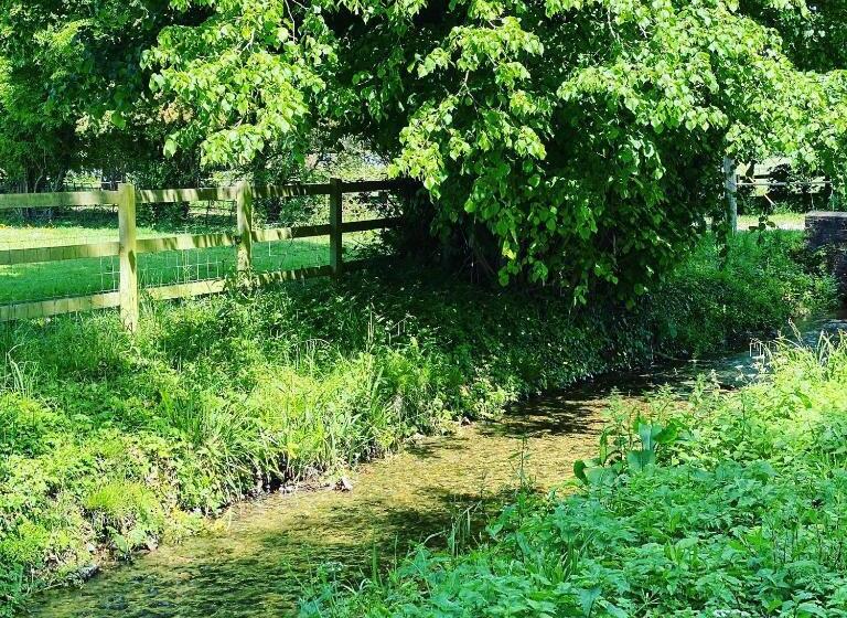 1间卧室的房子, Saddlers B&b