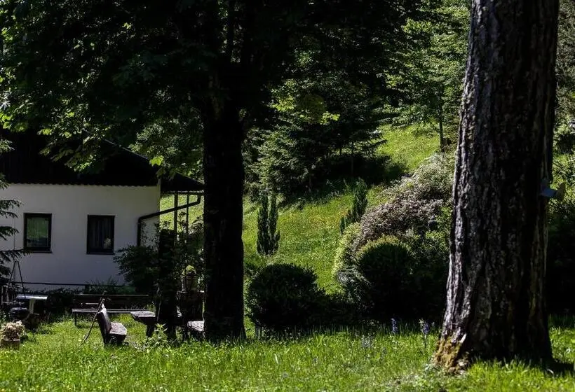 ２ベッドルームアパートメント, Waldhotel Bad Jungbrunn