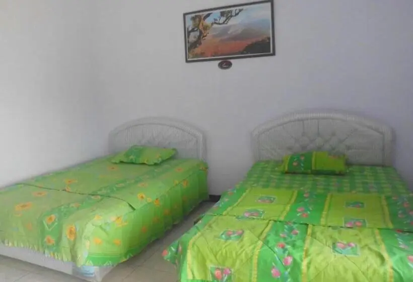 Quarto Estandar, Nadia Bromo