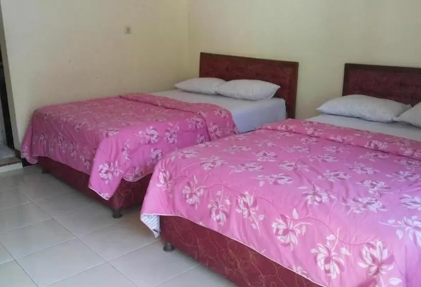 Quarto Superior, Nadia Bromo