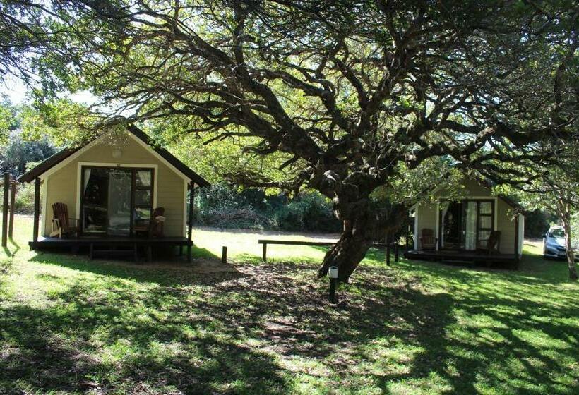 בקתת חדר, Coral Divers