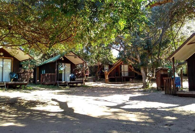 חדר סטנדרט, Coral Divers