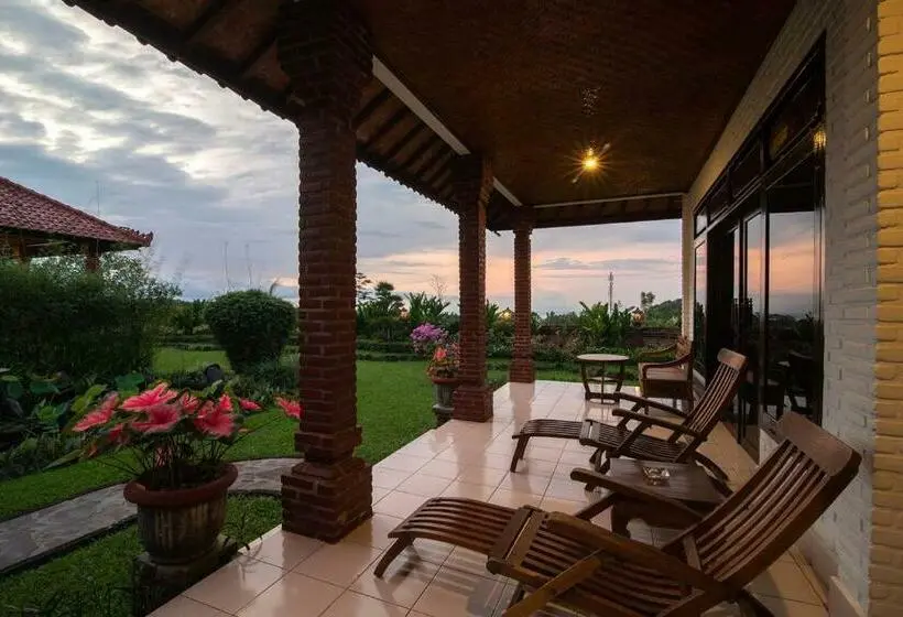 デラックスバンガロー, Cabé Bali
