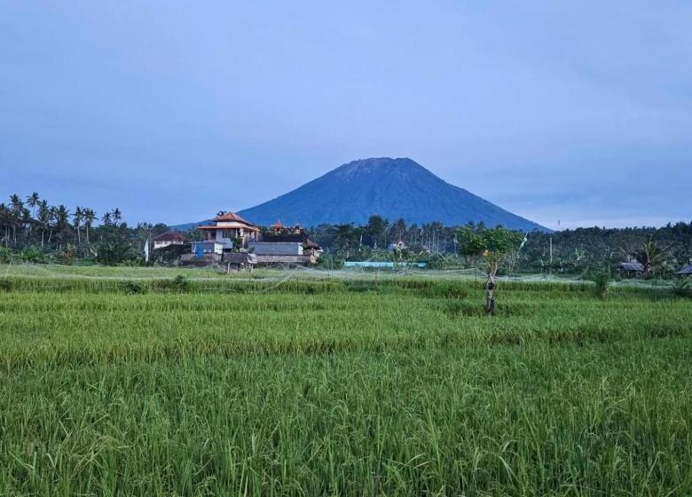 בקתה דלוקס, Cabé Bali