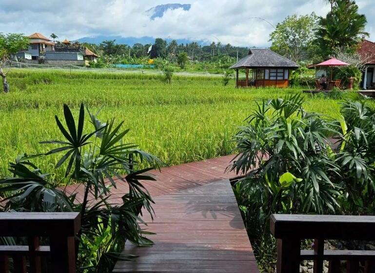 בקתה, Cabé Bali