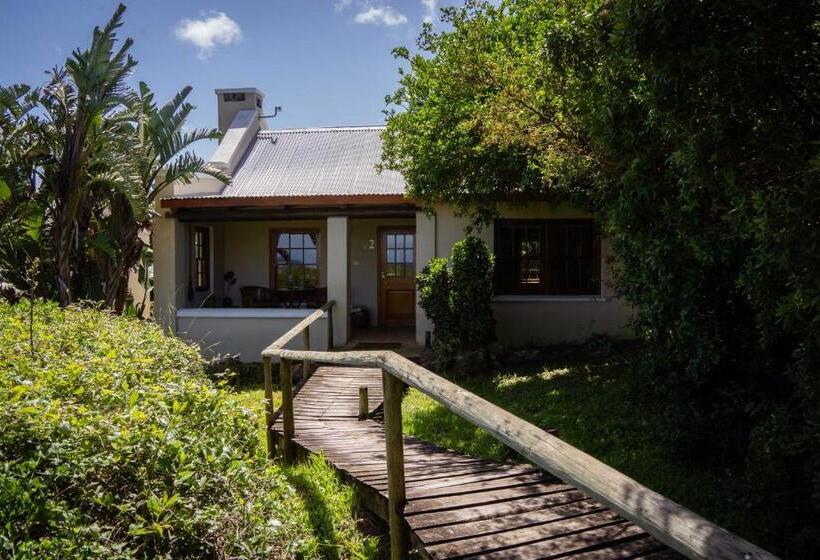 شاليه ديلوكس غرفة نوم واحدة, Oyster Bay Lodge