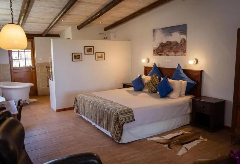 コンフォートルーム, Oyster Bay Lodge