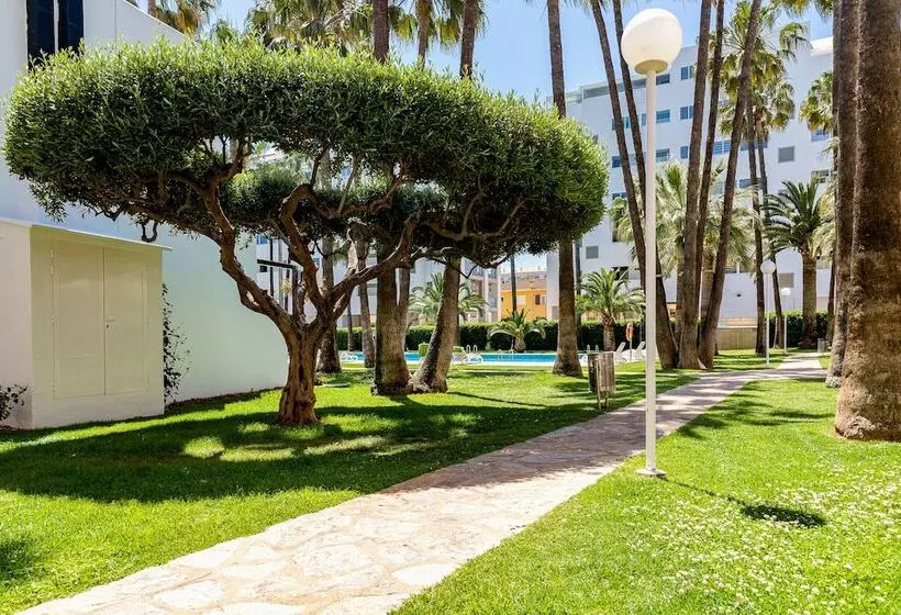 آپارتمان 1 خوابه همکف, Apartamentos Tamarindos Peñiscola