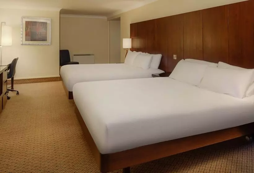 デラックスファミリールーム, Doubletree By Hilton Belfast Templepatrick