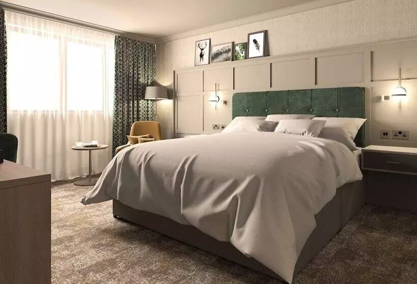 デラックスルーム, Doubletree By Hilton Belfast Templepatrick