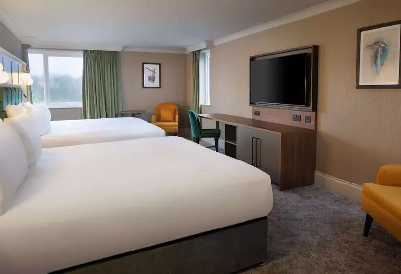 スタンダードルーム, Doubletree By Hilton Belfast Templepatrick