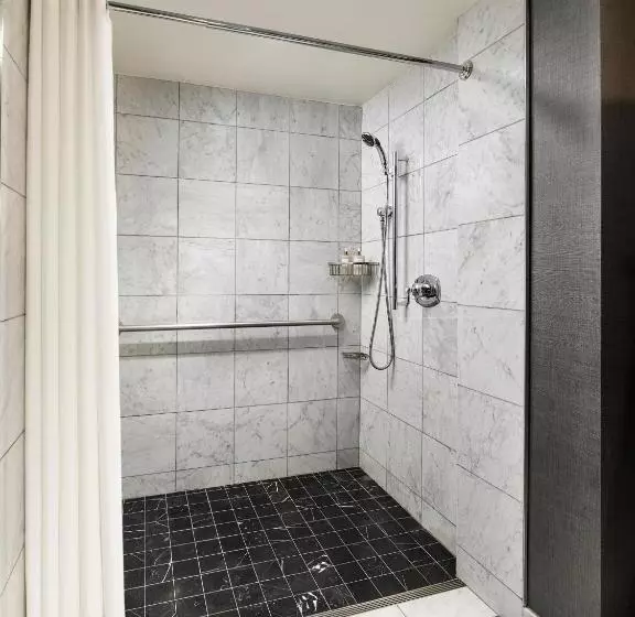 اتاق استاندارد, Viceroy Washington DC