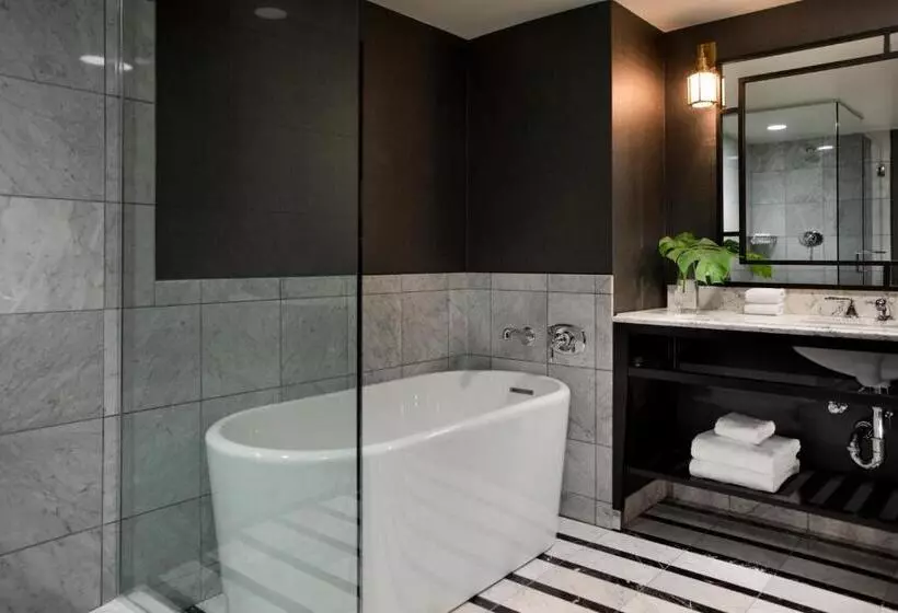 استودیوی استاندارد, Viceroy Washington DC