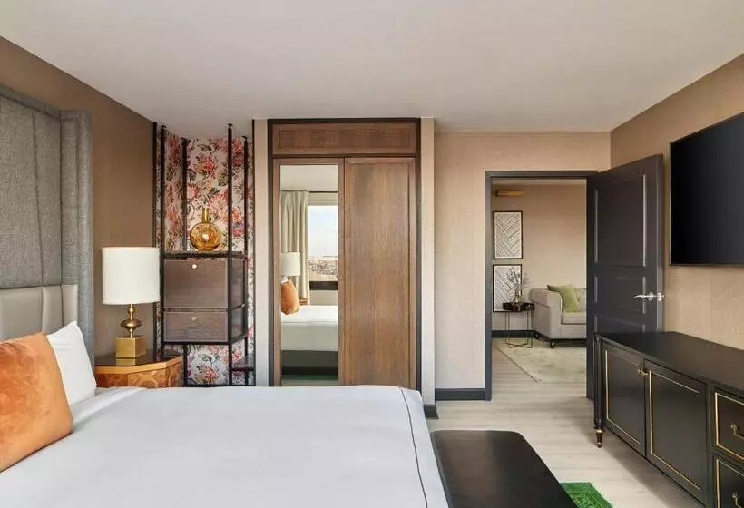 سوئیت برای معلولان, Viceroy Washington DC