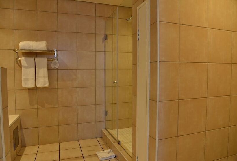 آپارتمان اجرایی 1 خوابه, Anew Hotel Centurion Pretoria