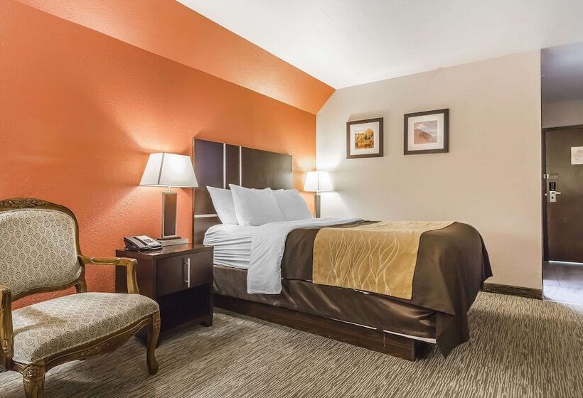 غرفة بيزنس, Comfort Inn & Suites