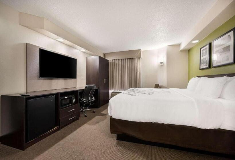 غرفة قياسية سرير كينج, Sleep Inn Athens I65