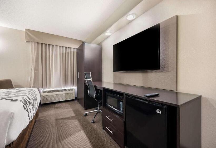 Стандартный Номер Кровать Кинг, Sleep Inn Athens I65
