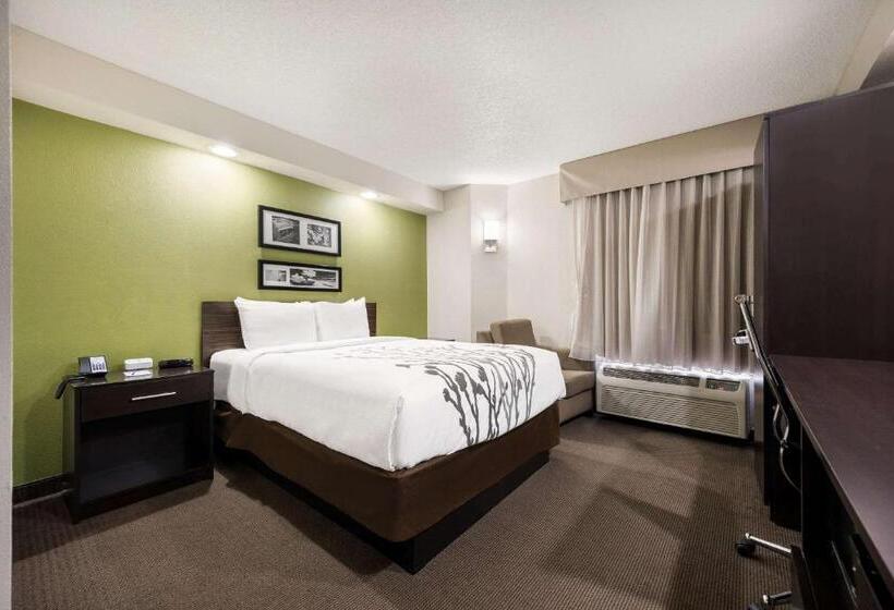غرفة قياسية سرير كينج, Sleep Inn Athens I65