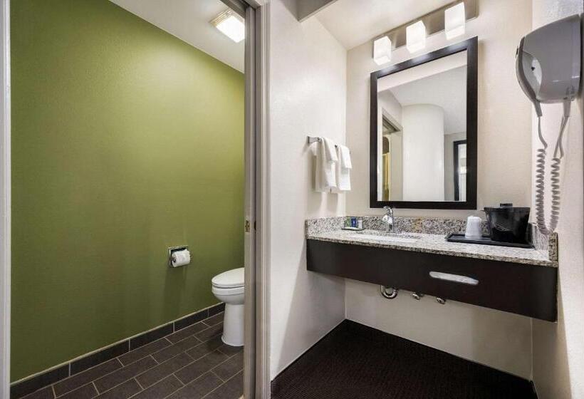 غرفة قياسية, Sleep Inn Athens I65