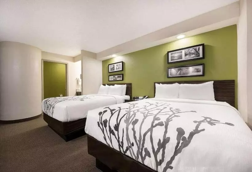 スタンダードルーム, Sleep Inn Athens I65