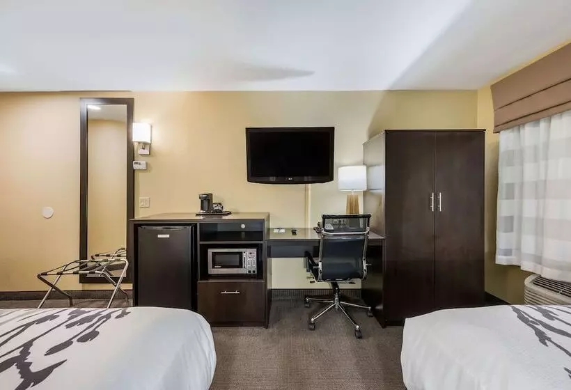 ２ダブルベッドのスタンダードルーム, Sleep Inn Oxford Anniston I20