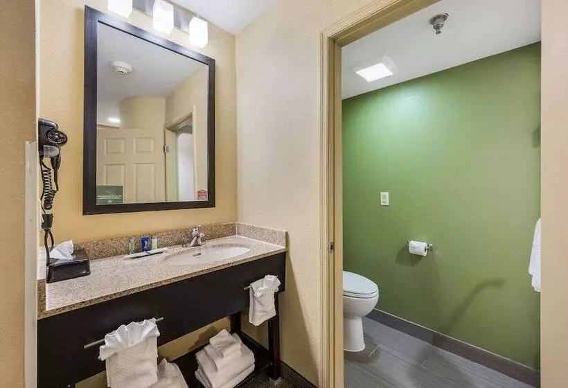 ２ダブルベッドのスタンダードルーム, Sleep Inn Oxford Anniston I20