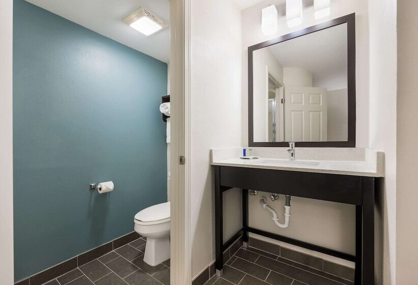 غرفه قياسيه سريرين مزدوجين, Sleep Inn & Suites Cullman I 65 Exit 310