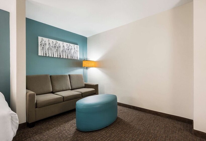 스위트, Sleep Inn & Suites Cullman I 65 Exit 310