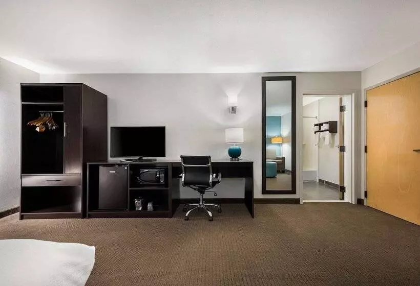 キングサイズベッドのスイートルーム, Sleep Inn & Suites Cullman I 65 Exit 310