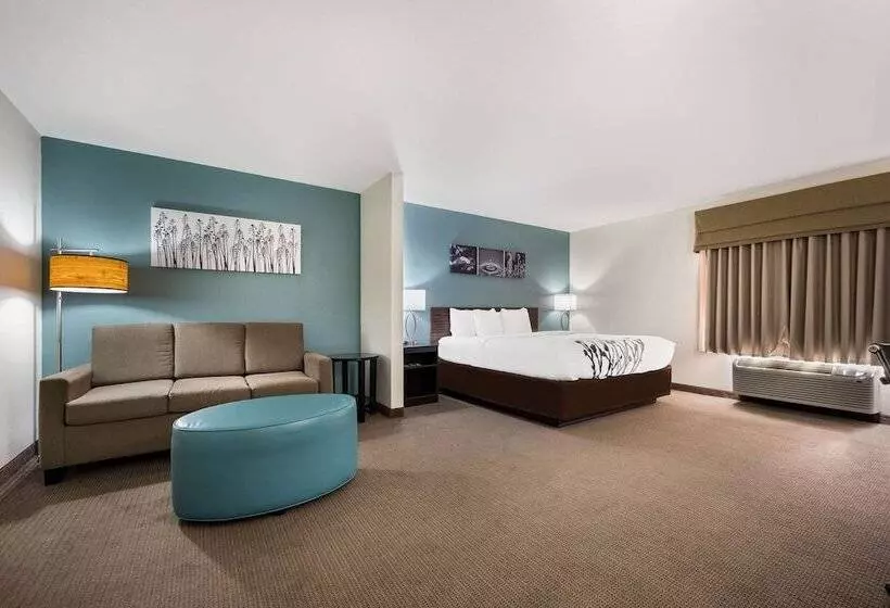 キングサイズベッドのスイートルーム, Sleep Inn & Suites Cullman I 65 Exit 310
