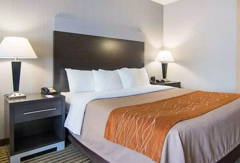 身障者適用スイートルーム, Comfort Inn Camden