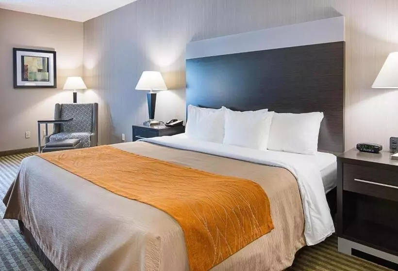 キングサイズベッドのスタンダードルーム, Comfort Inn Camden