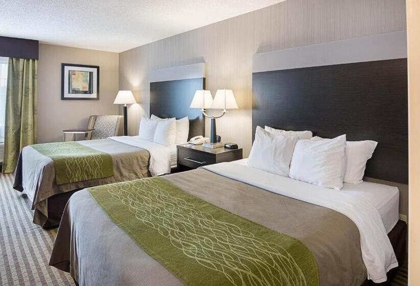 Номер Стандарт, Comfort Inn Camden