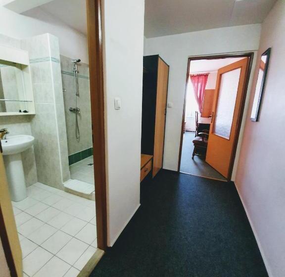 غرفة قياسية, Senica, Garni