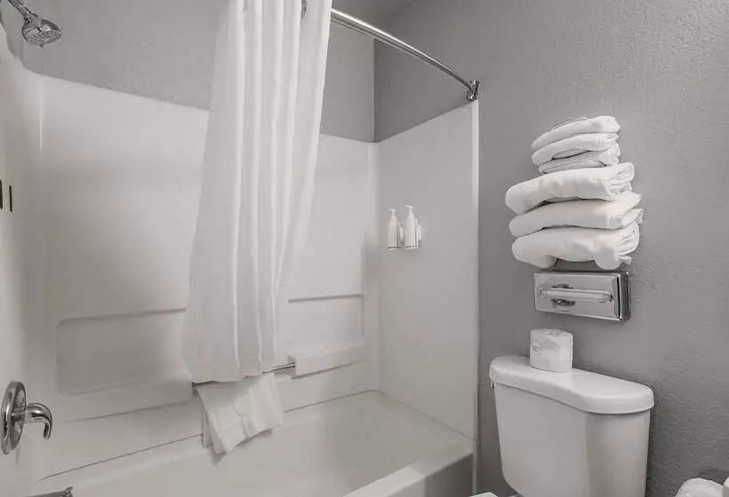 اتاق استاندارد با 2 تخت دوبل, Sutter Inn
